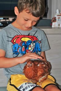 Full length of a boy holding bird