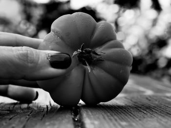 Close-up of hand holding fruit