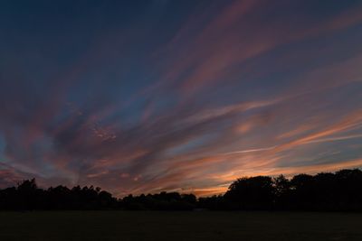 Silhouette of trees at sunset