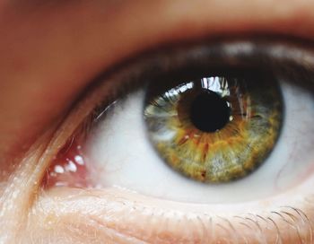 Extreme close-up of human eye