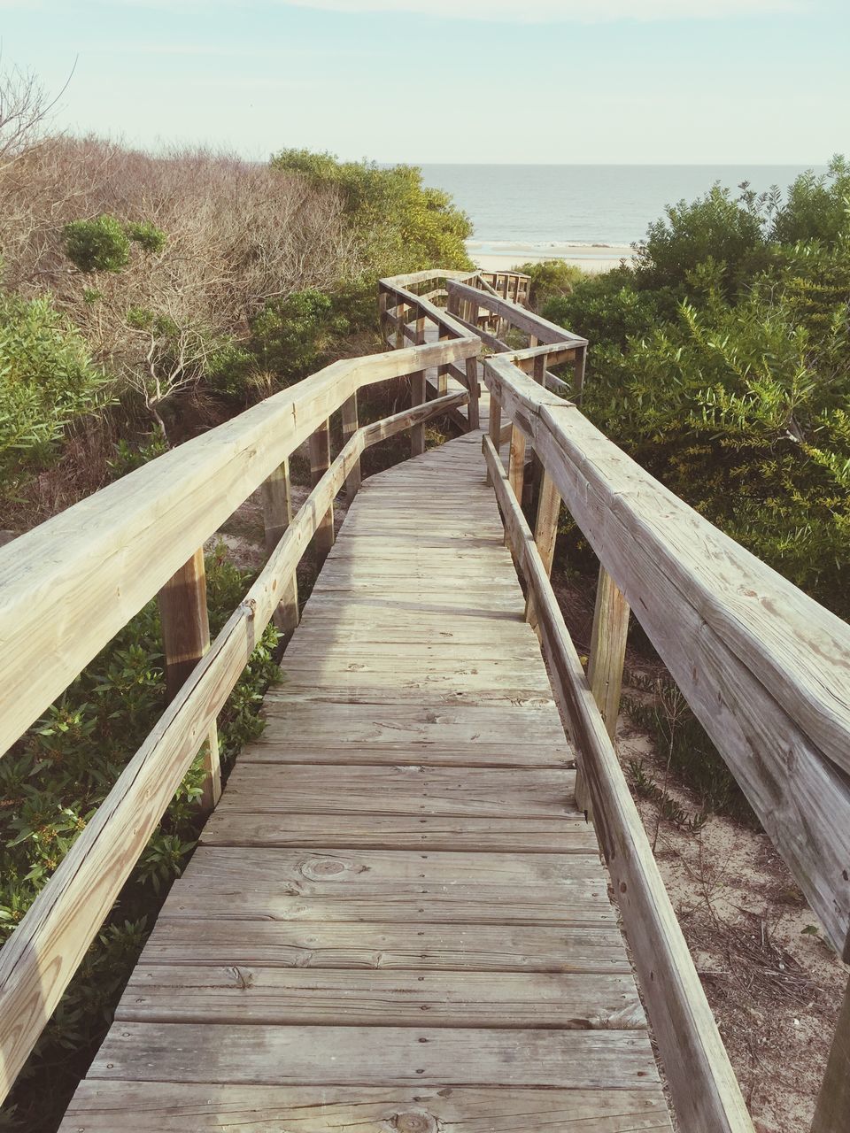 railing, wood - material, the way forward, water, sea, tranquility, boardwalk, tranquil scene, pier, wood, wooden, nature, footbridge, scenics, horizon over water, built structure, sky, diminishing perspective, beauty in nature, tree