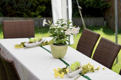 Close-up of potted plant on table