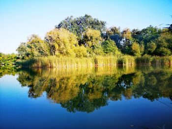 reflection