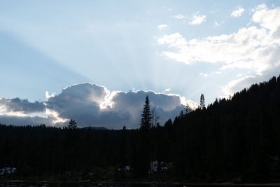 Panoramic view of forest against sky