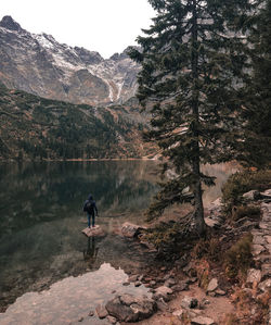 Rear view of man standing in forest