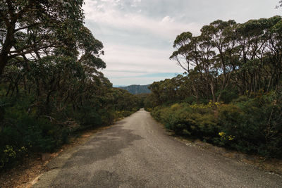 Road amidst trees against sky