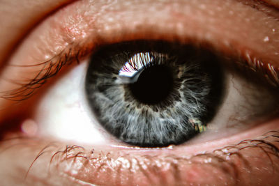 Extreme close-up of human eye