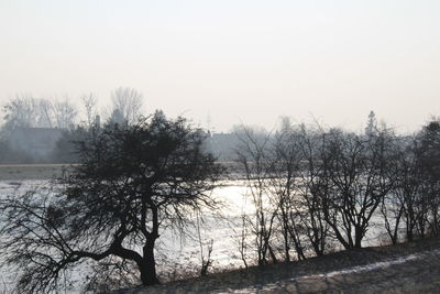 Bare trees by lake against clear sky