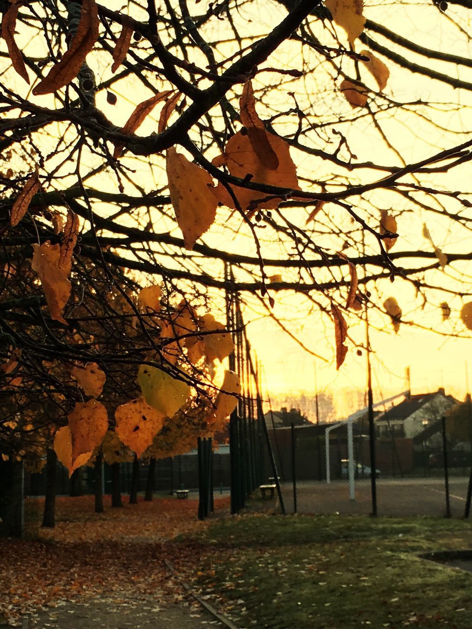 VIEW OF SWING AT SUNSET