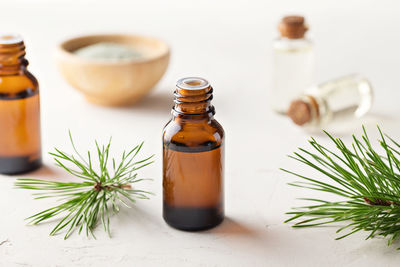 Pine essential oil in small glass bottles. soft focus.