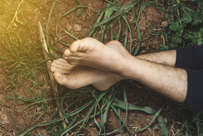 High angle view of human hands on field