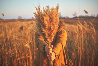 Close-up of woman holding reed