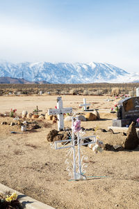Desert cemetery with distant snowy mountains
