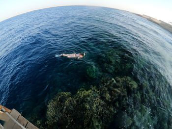 View of fish swimming in sea