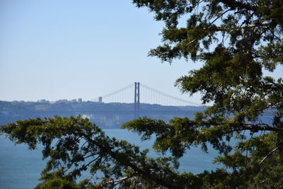 View of suspension bridge against sky