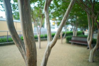 View of swing in park