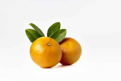 Close-up of oranges against white background