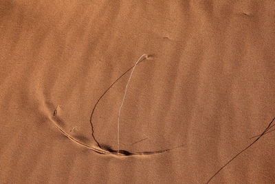 Full frame shot of abstract background