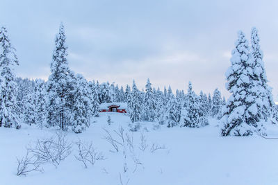 Scenic view of snow covered land against sky