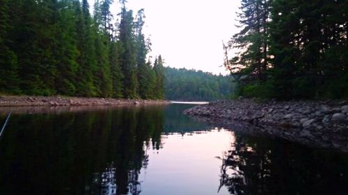 Reflection of trees in calm lake