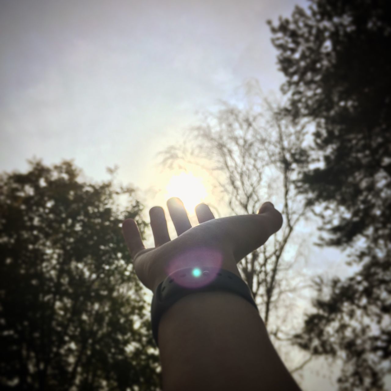 LOW SECTION OF PERSON HAND AGAINST SUN