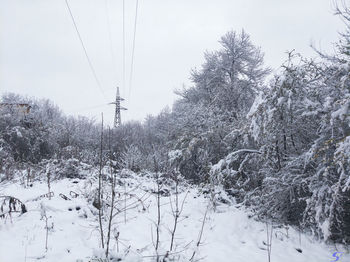 Snow covered trees on field against sky