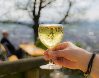 Close-up of hand holding glass of wine