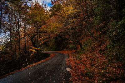 Road amidst trees in forest during autumn