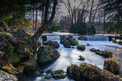 Scenic view of waterfall in forest