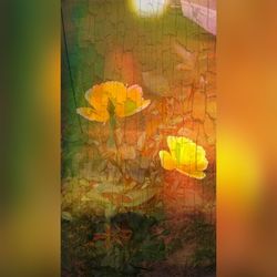 Close-up of yellow flowers blooming outdoors