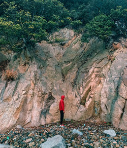 Rear view of person standing on rock