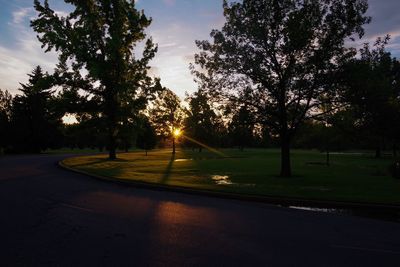 Trees on road against sky at sunset