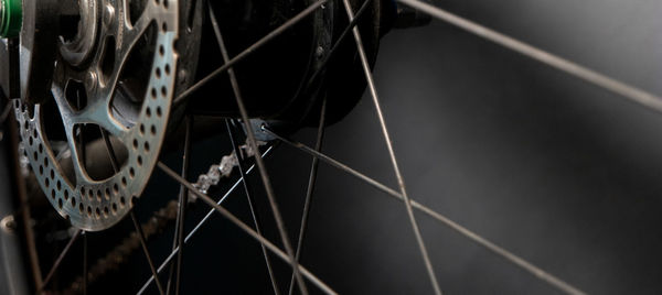 Low angle view of spider web