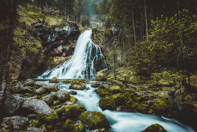 Scenic view of waterfall in forest