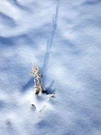 Aerial view of snow covered field