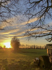 Scenic view of field against sky during sunset