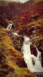Scenic view of river flowing through rocks