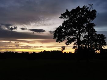 Silhouette trees on field against sky at sunset