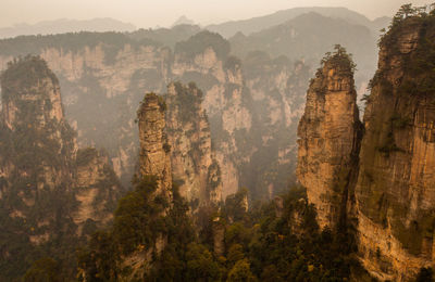 Panoramic view of trees on mountain