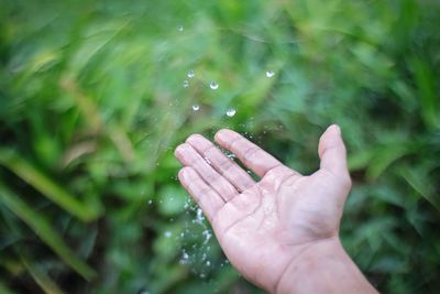 Close-up of hand touching wet plant during rainy season