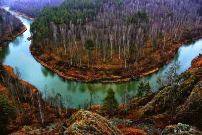 Scenic view of lake in forest