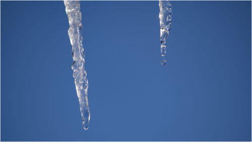 Close-up of icicles against clear blue sky