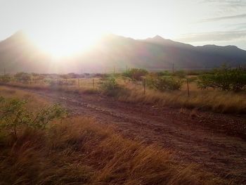 Sun shining over landscape