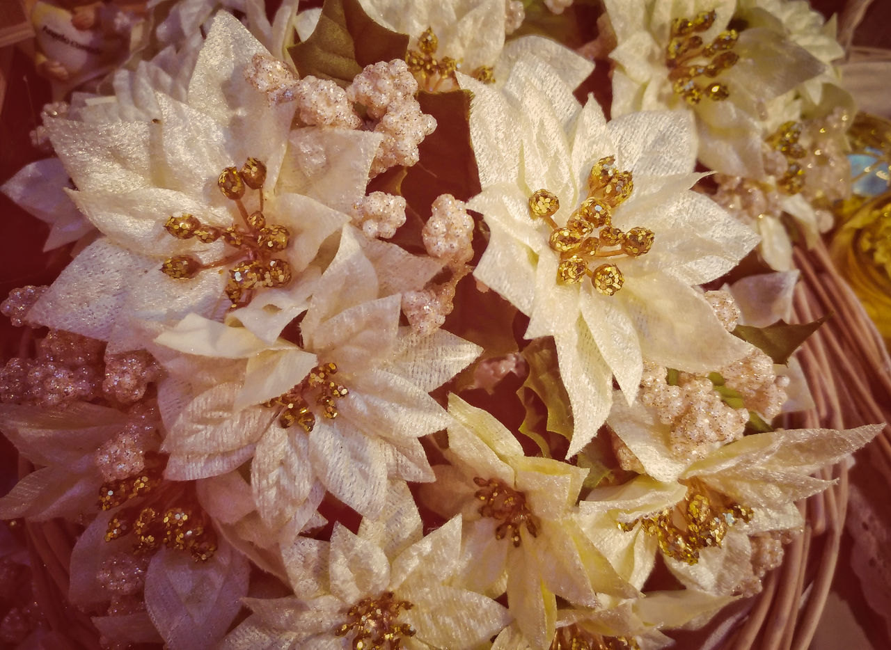 FULL FRAME SHOT OF FLOWERING PLANTS