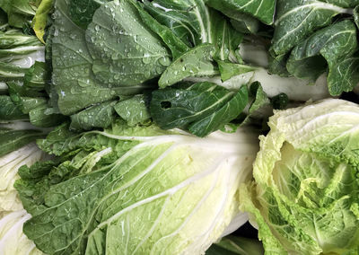 Full frame shot of leaf vegetables