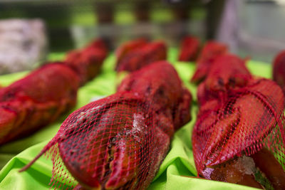 Close-up of red leaves