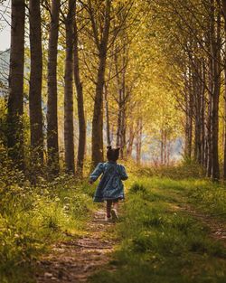 Rear view of person walking on footpath in forest