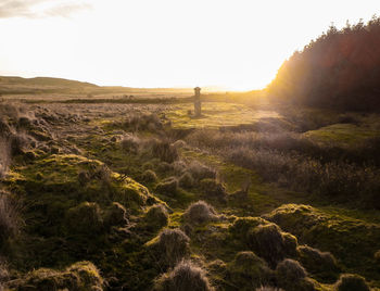 Scenic view of landscape against sky during sunset