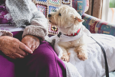 Midsection of man with dog at home