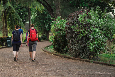 Rear view of people walking on footpath amidst trees